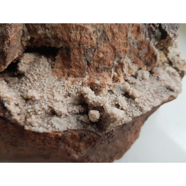 Szczotka kwarcowa w szczelinie w ryolicie z Jedlinki k. Wałbrzycha