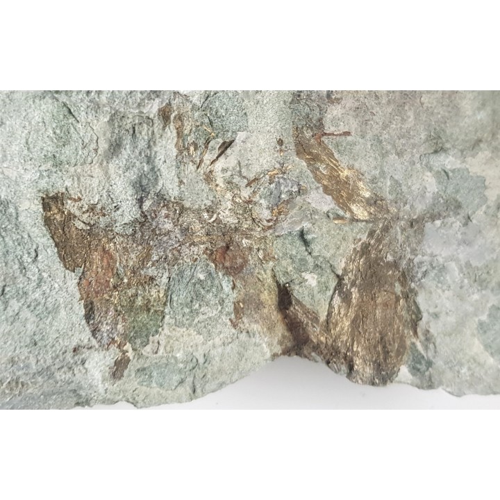 Kryształy lellingitu/arsenopirytu ze Złotego Stoku