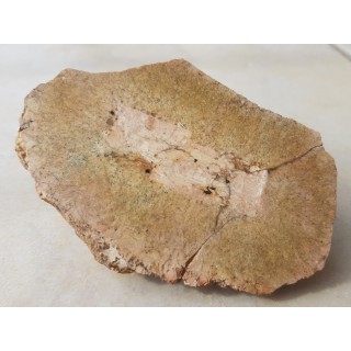 Granit kulisty (orbikularny) z Czarnego k. Jeleniej Góry