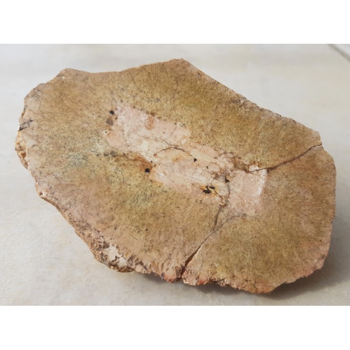 Granit kulisty (orbikularny) z Czarnego k. Jeleniej Góry