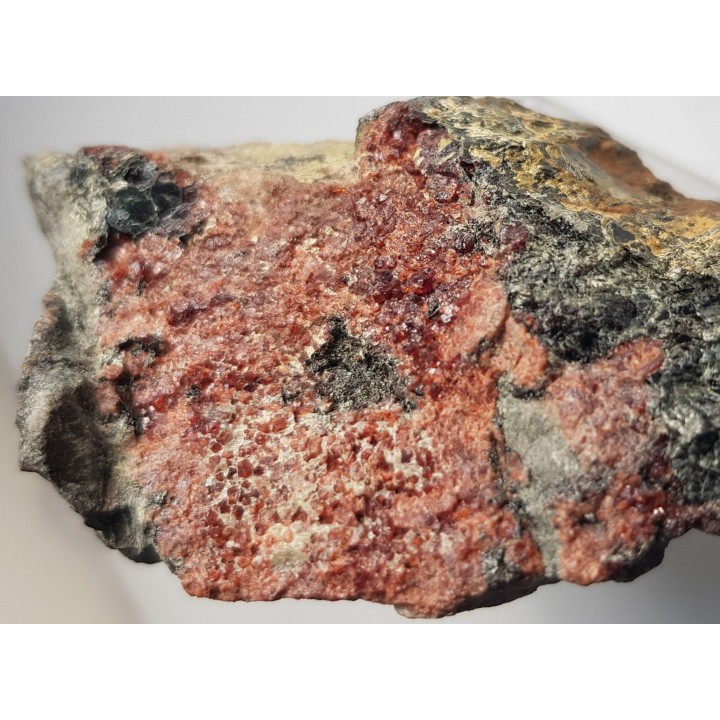 Granaty ze Starej Kamienicy