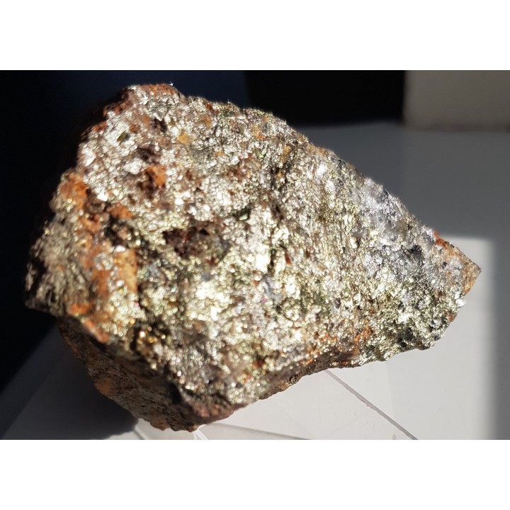 Wolframit i scheelit w rudzie chalkopirytowo-arsenopirytowej z Radzimowic