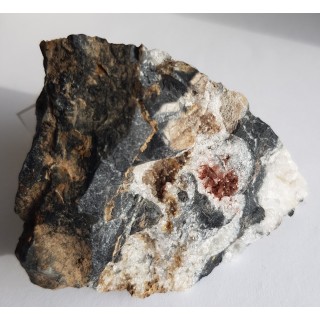 Kwarc z hematytem z łupków krzemionkowych z Gozdna