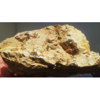 Wyjątkowy okaz tytanitu z Gór Sowich