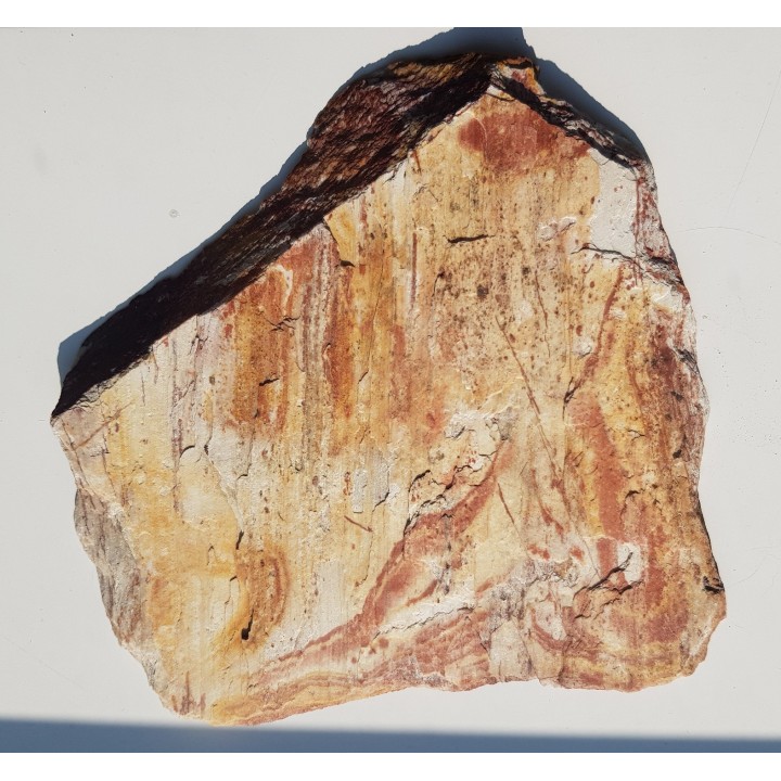 Polerowana płyta ozdobnego łupku kwarcowo-serycytowego