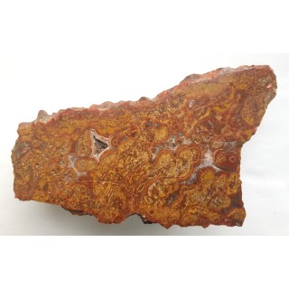 Wyjątkowy, orbikularny jaspis z Sokołowca