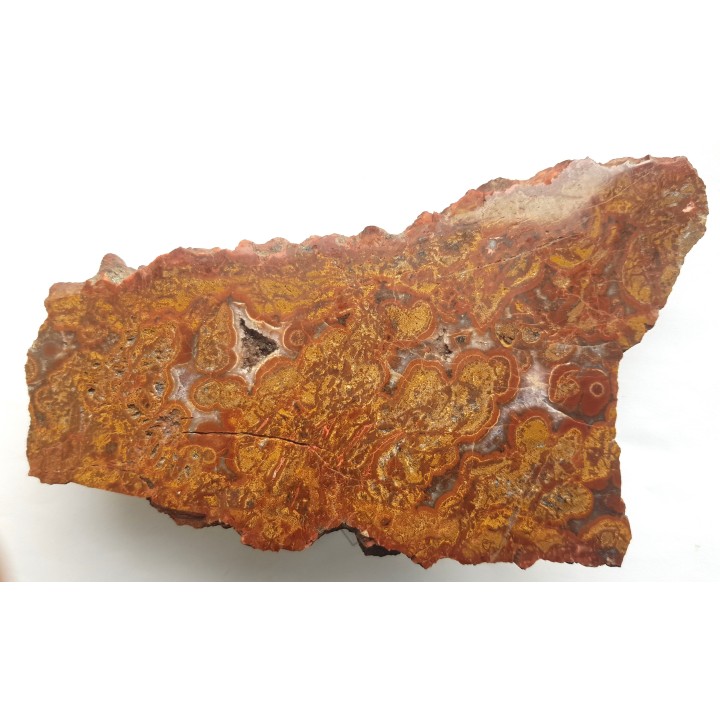 Wyjątkowy, orbikularny jaspis z Sokołowca