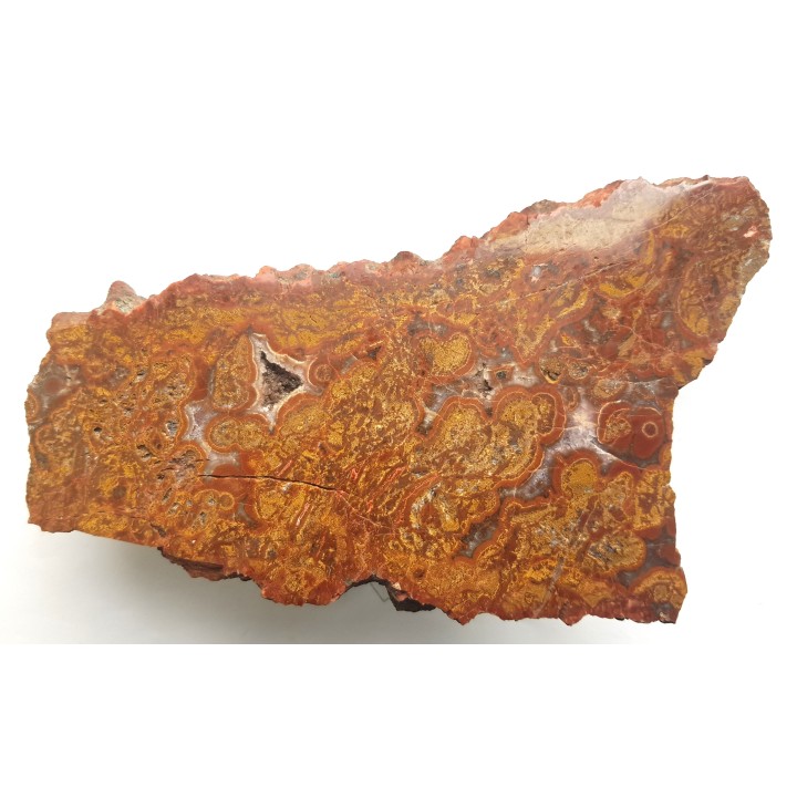 Wyjątkowy, orbikularny jaspis z Sokołowca