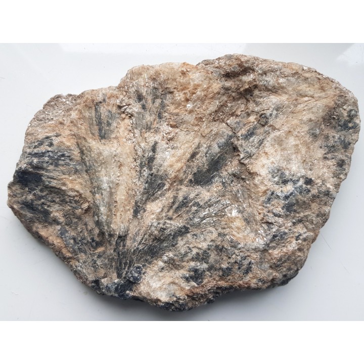 Polerowana płyta pryzmatynu, rzadkiego boranokrzemianu ze Szwecji