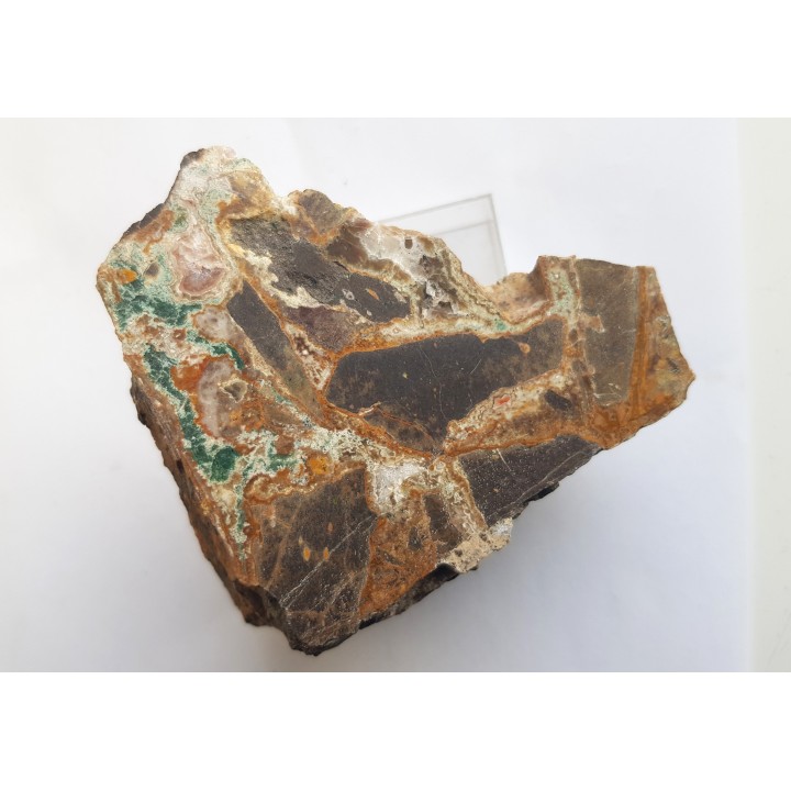 Brekcja trachybazaltowa spojona węglanami i krzemionką z Borówna