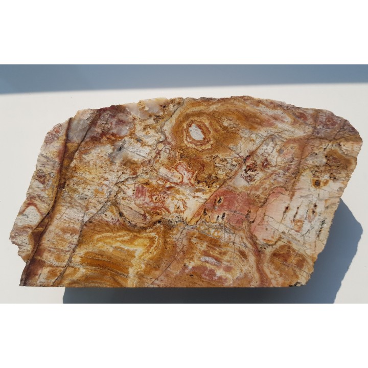 Polerowana okaz ozdobnego łupku kwarcowo-serycytowego