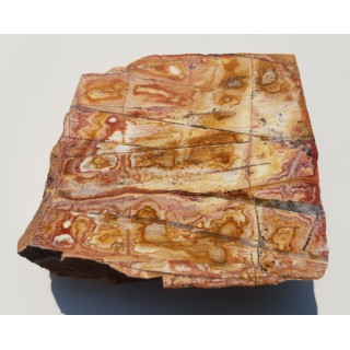 Polerowany okaz ozdobnego łupku kwarcowo-serycytowego