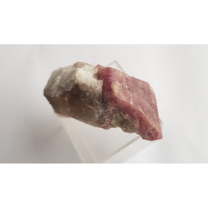 Rubellit z Piławy Grn.