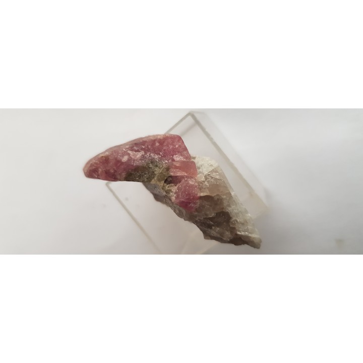 Rubellit z Piławy Grn.