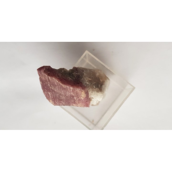 Rubellit z Piławy Grn.