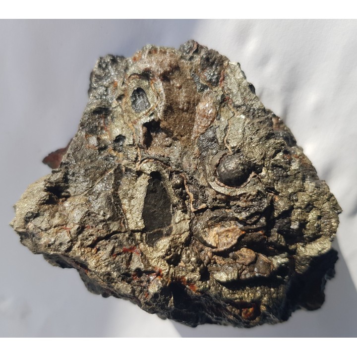 Blenda skorupowa z Bytomia, kop. Orzeł Biały