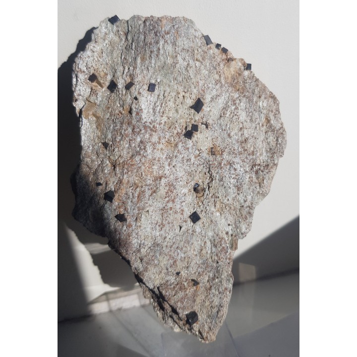 Piryt w łupku serycytowo-kwarcowym z Wojcieszowa