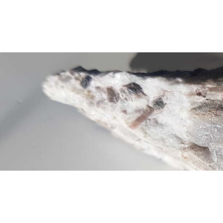 Elbait z Piławy Grn.