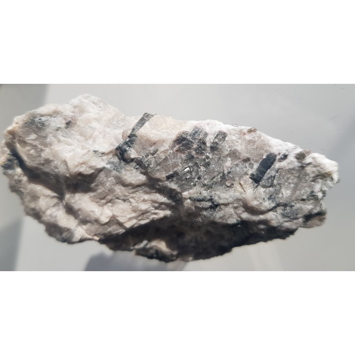 Elbait z Piławy Grn.