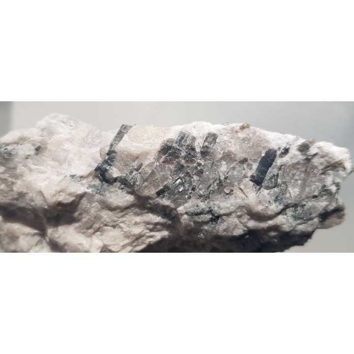 Elbait z Piławy Grn.