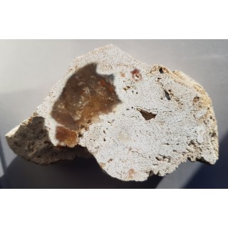 Chalcedon z albu okolic Krakowa