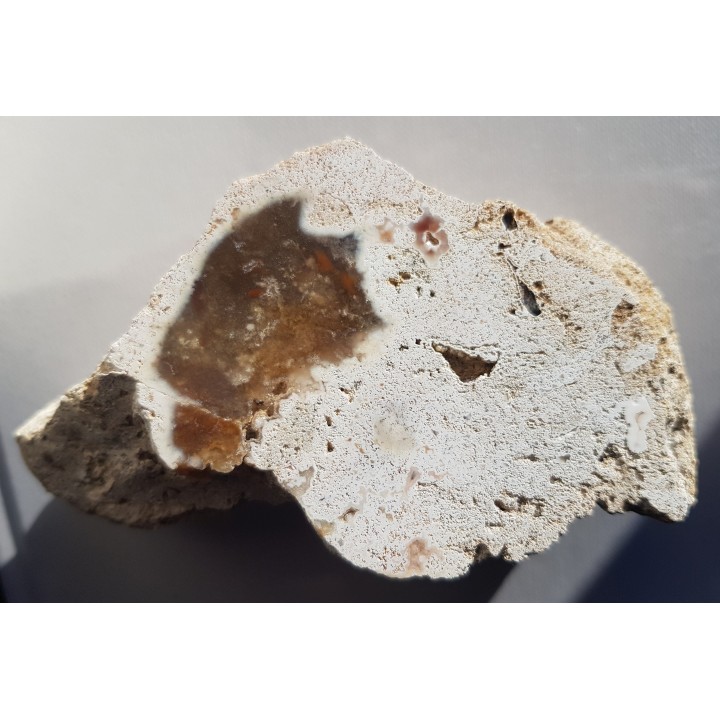 Chalcedon z albu okolic Krakowa