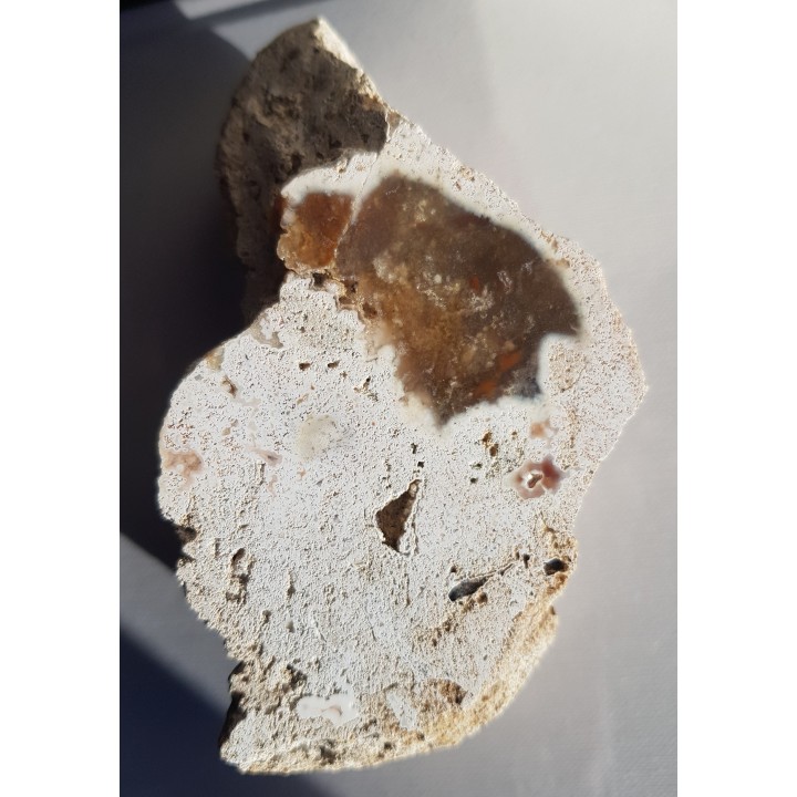 Chalcedon z albu okolic Krakowa