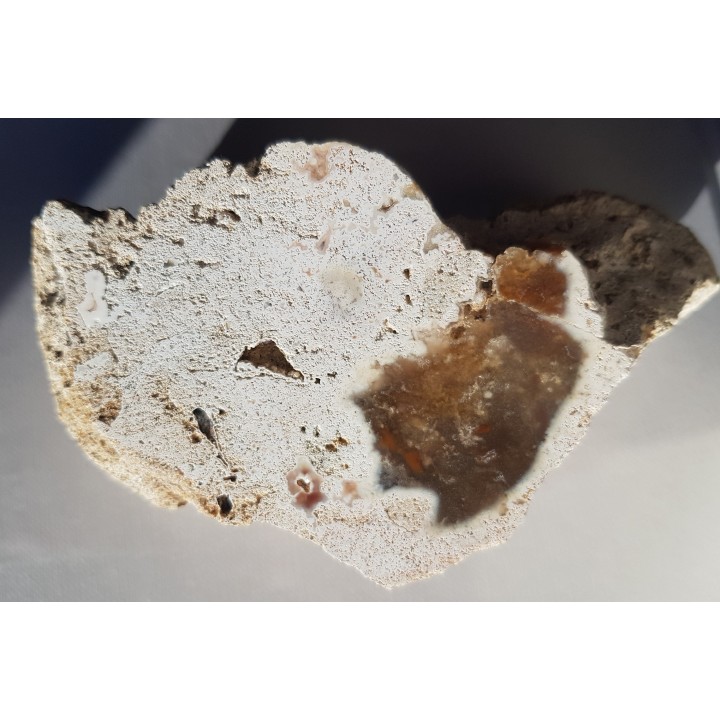 Chalcedon z albu okolic Krakowa