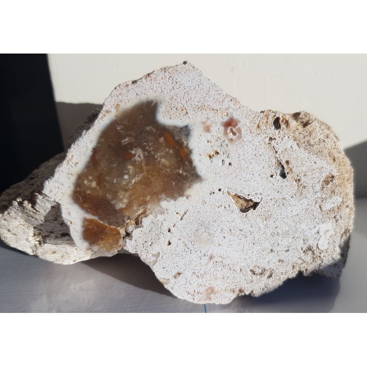 Chalcedon z albu okolic Krakowa