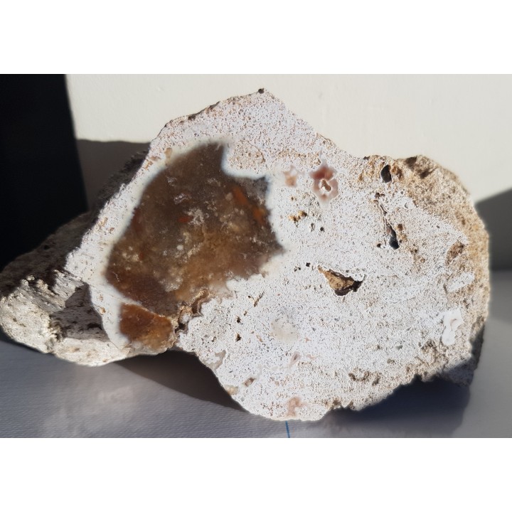 Chalcedon z albu okolic Krakowa