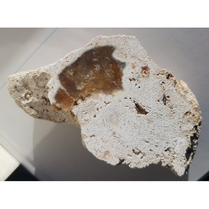 Chalcedon z albu okolic Krakowa