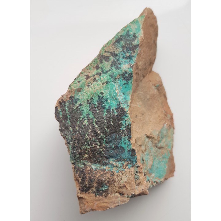 Dendryty na zmineralizowanym miedzią ryodacycie ze Starego Lesieńca