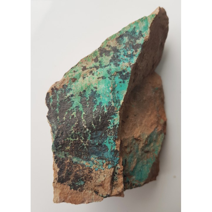 Dendryty na zmineralizowanym miedzią ryodacycie ze Starego Lesieńca