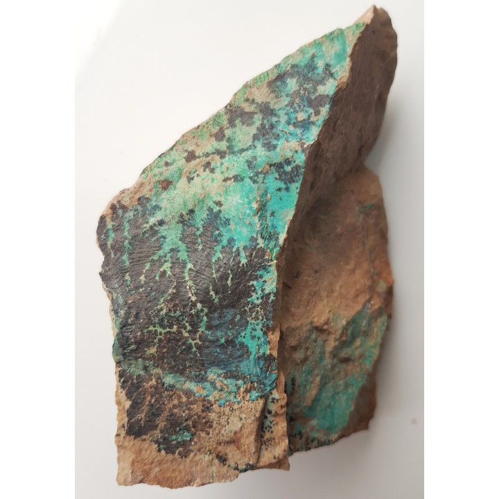 Dendryty na zmineralizowanym miedzią ryodacycie ze Starego Lesieńca