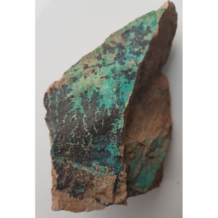 Dendryty na zmineralizowanym miedzią ryodacycie ze Starego Lesieńca