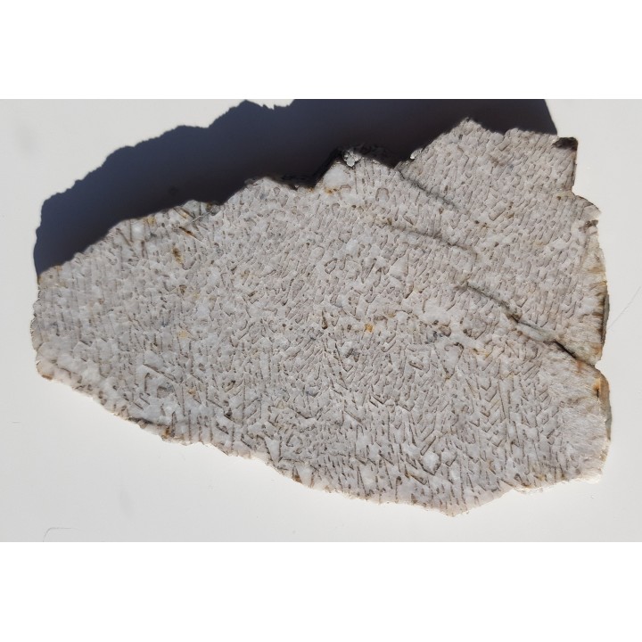 Plaster kamienia hebrajskiego z Piławy Grn.