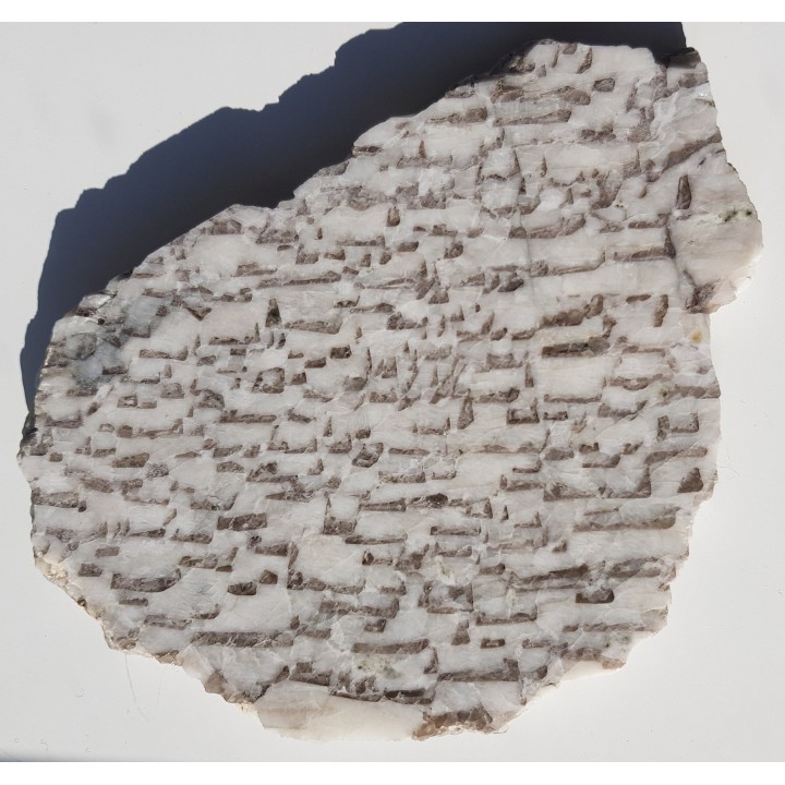 Plaster kamienia hebrajskiego z Piławy Grn.