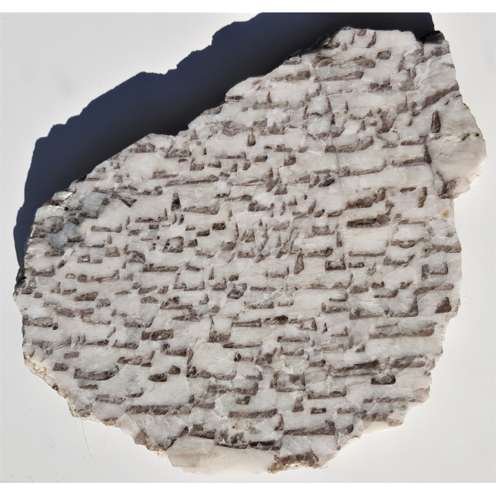 Plaster kamienia hebrajskiego z Piławy Grn.