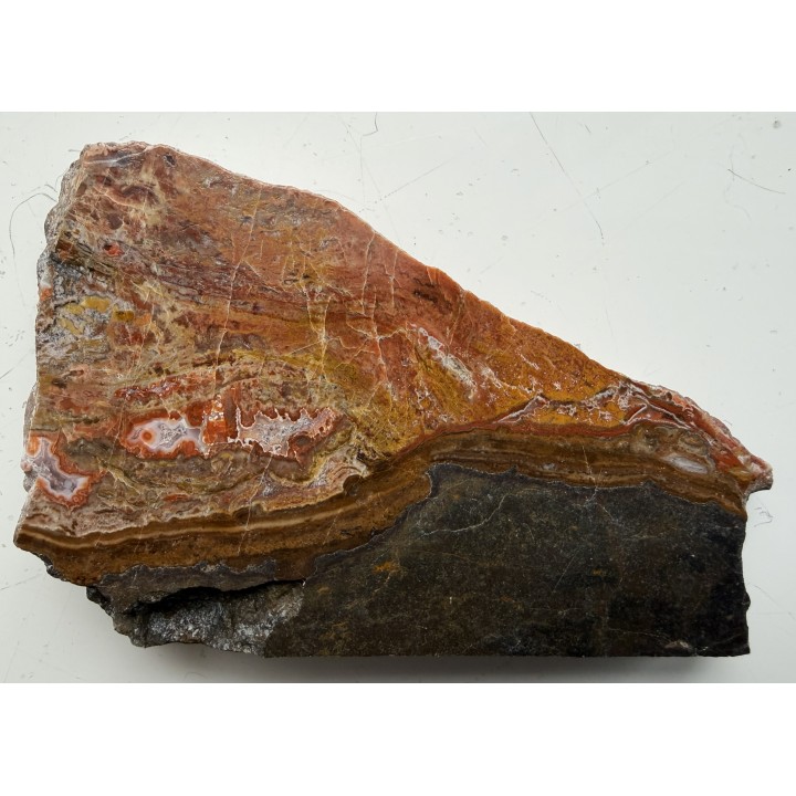 Agato-jaspis z Borówna