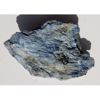 Rodusyt z Kazachstanu