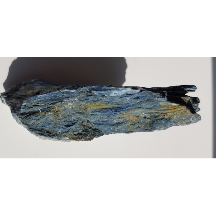 Rodusyt z Kazachstanu