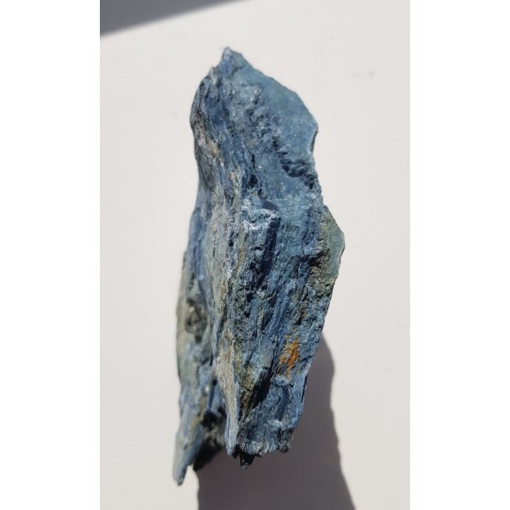 Rodusyt z Kazachstanu