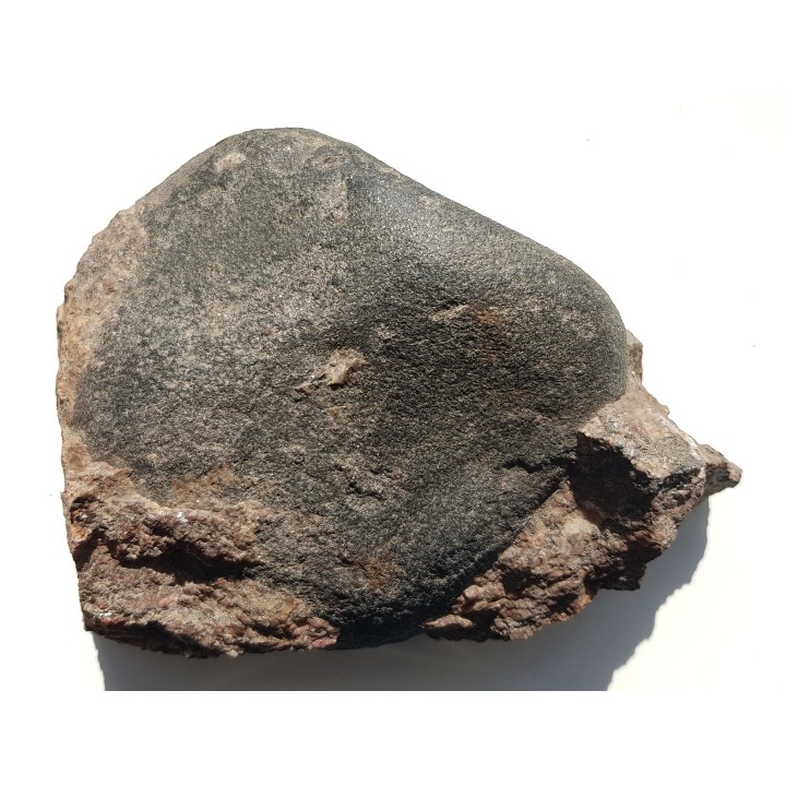 Duży okaz granitu orbikularnego z Finlandii