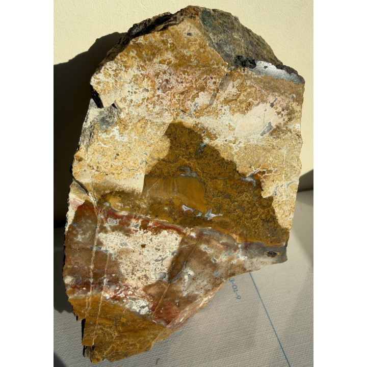 Jaspis z Lubiechowej w Sudetach