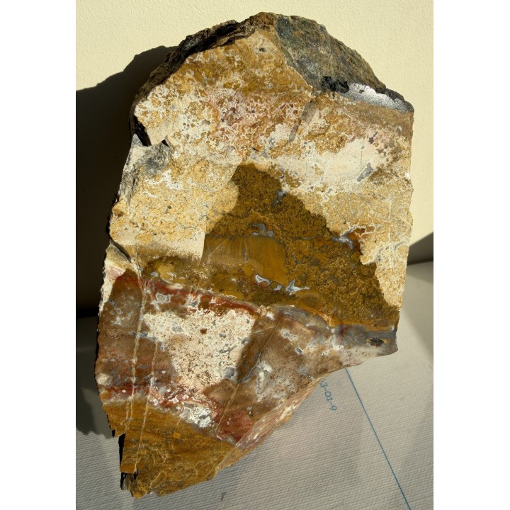 Jaspis z Lubiechowej w Sudetach