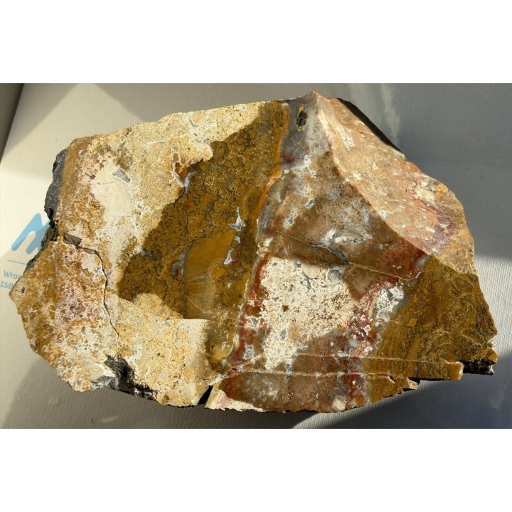 Jaspis z Lubiechowej w Sudetach