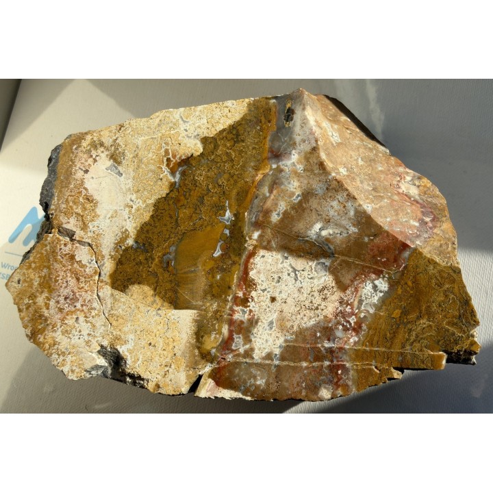 Jaspis z Lubiechowej w Sudetach