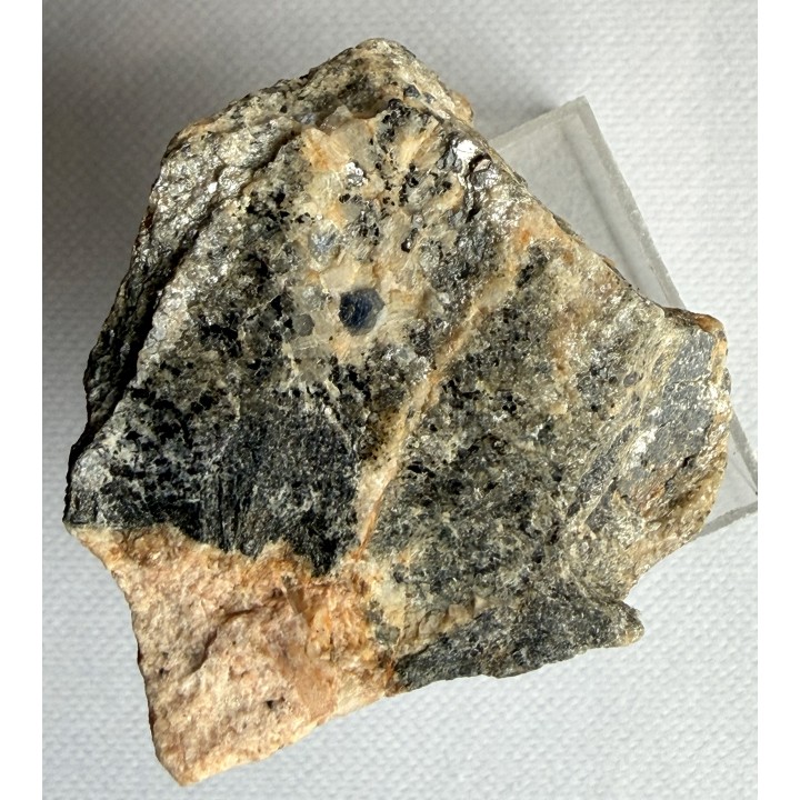 Szafir z Kruczych Skał