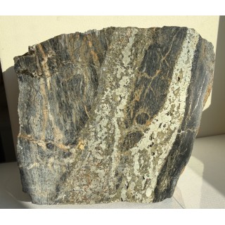 Piękny okaz żył rudnych w łupkach radzimowickich z Radzimowic