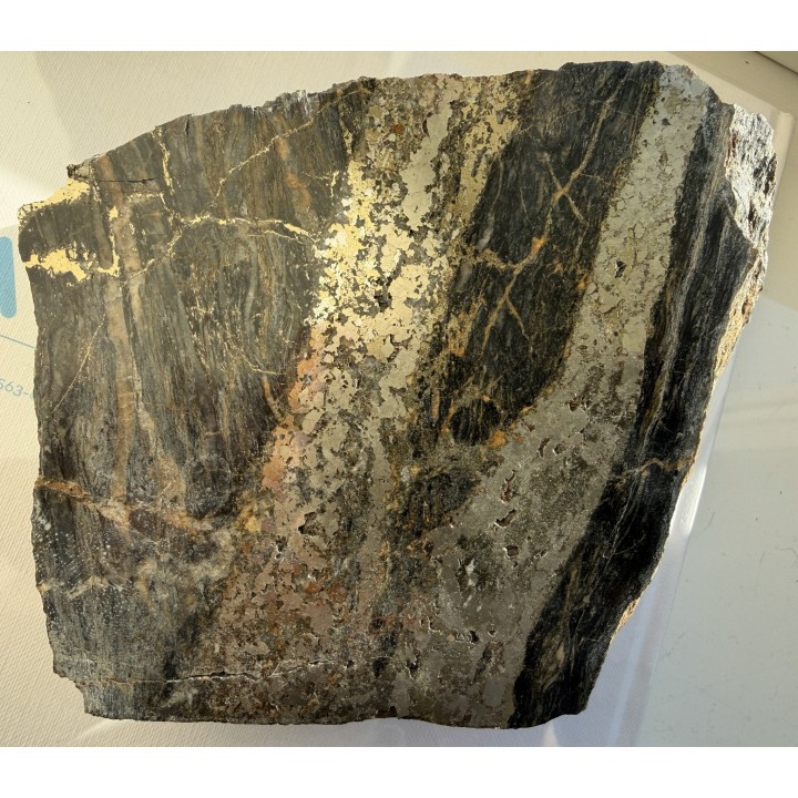 Piękny okaz żył rudnych w łupkach radzimowickich z Radzimowic